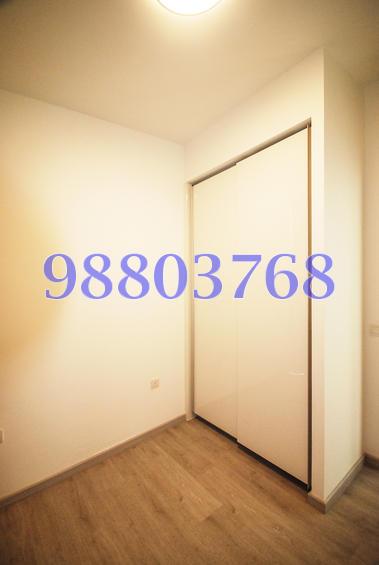 The Luxurie (D19), Condominium #76956442